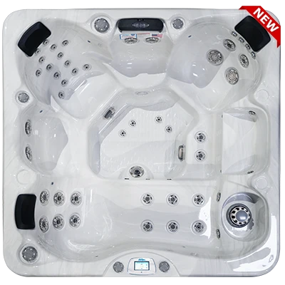 Avalon-X EC-849LX hot tubs for sale in Baltimore